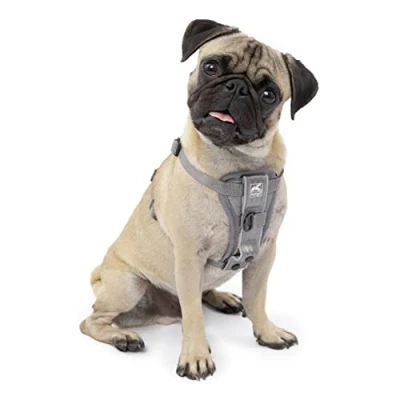 Image of Kurgo Tru Fit Smart Harness, Dog Pet Walking Quick Release Buckles, Front D Ring for No Pull Training, Includes Seat Belt Tether (Grey, Small)