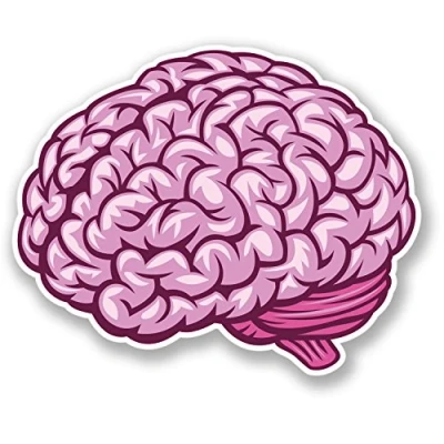 Image of 2 x Brain Vinyl Sticker Bike Laptop Car Helmet Decal Kids Skateboard Fun #4448 (10cm Wide 8cm Tall)