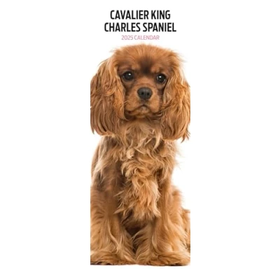 Image of Cavalier King Charles 2025 Slim Calendar