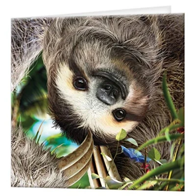 Image of 3D LiveLife Greeting Card Hangin&#039; Around from Deluxebase. Lenticular Blank Cards with Envelopes. Sloth All Occasion featuring Original Artwork by David Penfound.