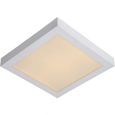 Image of Brice LED Modern Flush Ceiling Light Bathroom Dim. 1x30W 3000K IP44 White