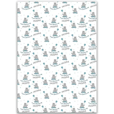 Image of Paper Themes Kids Christening Personalised Gift wrap 2 Sheets Happy Hippo Wrapping