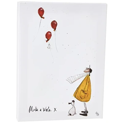 Image of Sam Toft (Make a Wish 30 x 40cm Canvas
