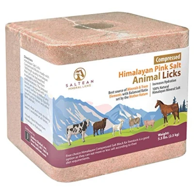 Image of SALTEAN Compressed Himalayan Horses Lick Natural Pink Salt, with strong hanging Rope, No Starch(2.5 kg) &quot;Salt Range Pakistan&quot;