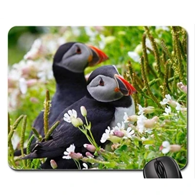 Image of YENDOSTEEN Gaming Mouse Mat,Puffin Pad, Mousepad (Birds Pad)