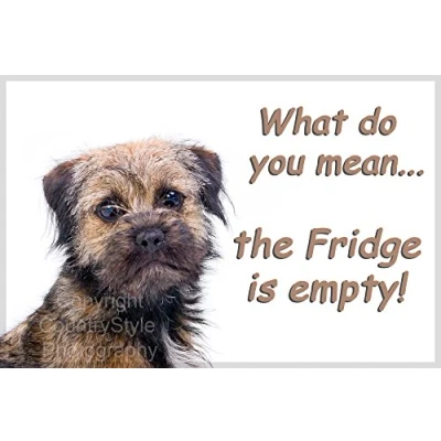 Image of Border Terrier Dog Funny Fridge Magnet Perfect Exclusive Birthday or Christmas Gift