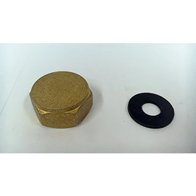 Image of 3/4&quot; Brass Washing Machine Blanking Cap