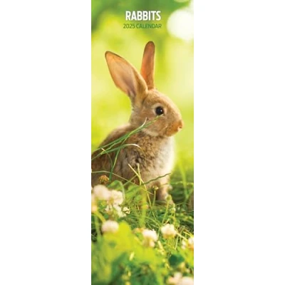 Image of Rabbits 2025 Slim Calendar