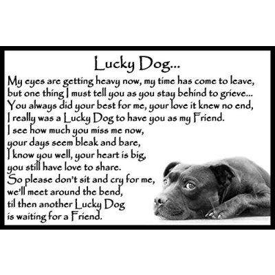 Image of Staffordshire Bull Terrier Staffy Bereavement pet Dog Loss Sympathy Memorial Lucky