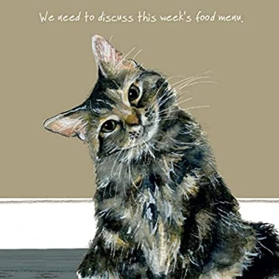 Image of Tabby Cat Blank Greeting Card Menu Digs &amp; Manor Birthday Get Well