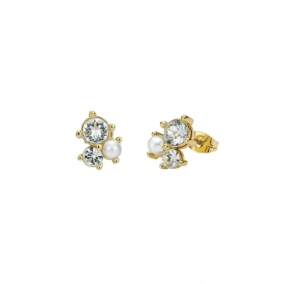 Image of Ted Baker Joyaa Jewel Cluster Stud Earrings For Women (Gold/Pearl)