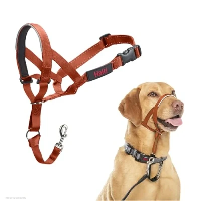 Image of HALTI Headcollar To Stop Your Dog Pulling on the Lead. Adjustable, Reflective and Lightweight, with Padded Nose Band. Training Anti Pull Collar for Medium Dogs (Size 3, Burnt Orange)
