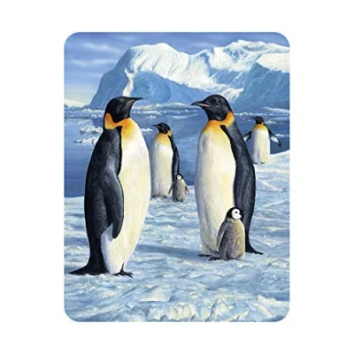 Image of 3D LiveLife Magnet Antarctic Majesty from Deluxebase. Lenticular Penguin Fridge Magnet. Magnetic decor for kids and adults with artwork licensed renowned artist, Robert Hautman