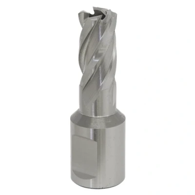Image of Worksafe Rotabor Cutter HSS Ø16mm Cut Depth 25mm