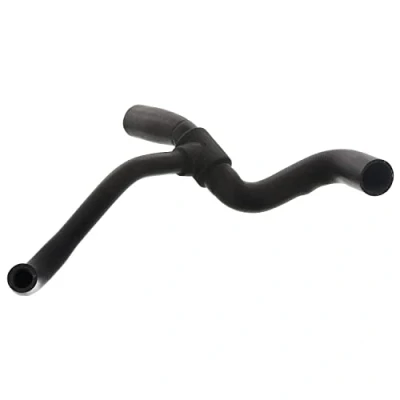 Image of 98AB8B273BG, 98AB8B273BH, 98AB8B273BJ Radiator Hose FEBI BILSTEIN 47755 Lower Right FORD: Focus Mk1 Hatchback