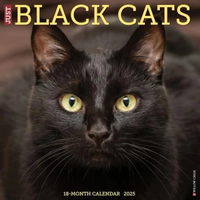 Image of Black Cats 2025 Wall
