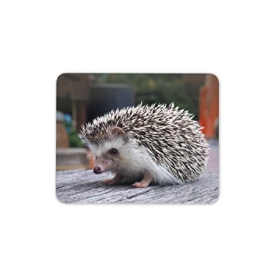 Image of Destination Vinyl Ltd Adorable Hedgehog Mouse Mat Pad Cute Animal Kids Mum Gift PC Computer #8301