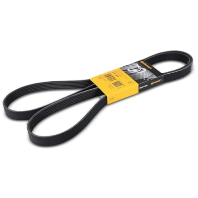 Image of 6PK1868, 6PK1869, 6PK1870, 6PK1871, 6PK1872 V ribbed belt CONTITECH 6PK1870 1870mm 6 BMW: 3 Compact, Saloon, 5 VOLKSWAGEN: Transporter 4
