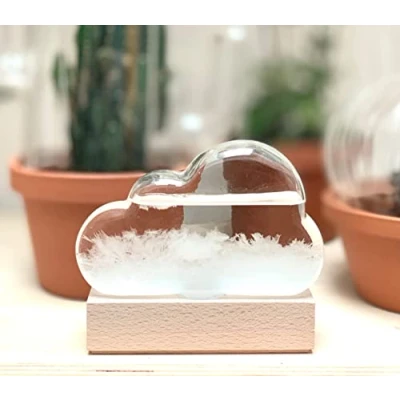 Image of Maestro Storm Cloud Barometer Gift