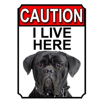 Image of Shawprint CAUTION I LIVE HERE METAL GATE SIGN CANE CORSO THEME 200MM X 150MM (1392H1)