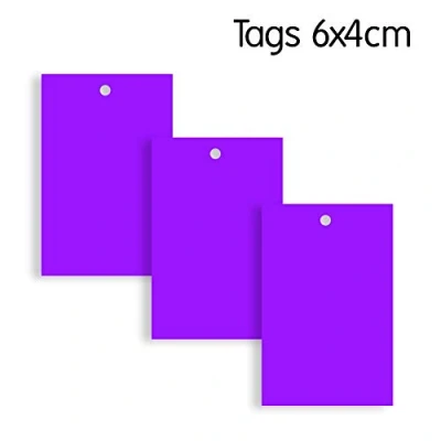 Image of Swift Purple Gift Hang Tags Kraft Card Paper Parcel Clothing Price Labels Swing Tickets 60mm x 40mm (Pack of 100)