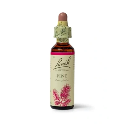 Image of Bach Original Flower Remedies (Pine) Find Joy &amp; Hope, Have Self Respect, Emotional Wellness, Natural Essence, 20ml