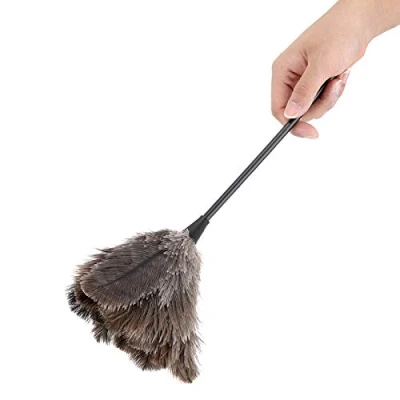 Image of Small Ostrich Feather Duster, Mini Handmade Washable Reusable Duster for Books Keyboard Office Home