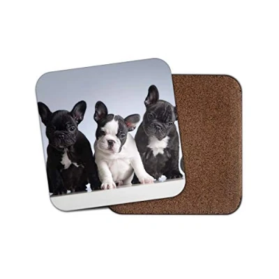 Image of 1 x Adorable French Bulldog Puppies Coaster Puppy Dog Dogs Animal Pet #15392