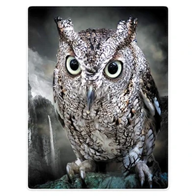 Image of YISUMEI Soft Flannel Fleece Blanket Throw for Bed Sofa,Grey Owl,125x150cm