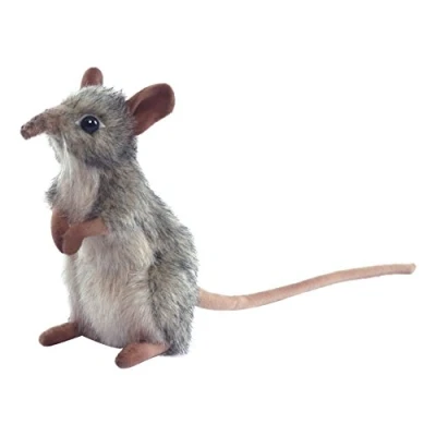 Image of Elephant Mouse 14Cm