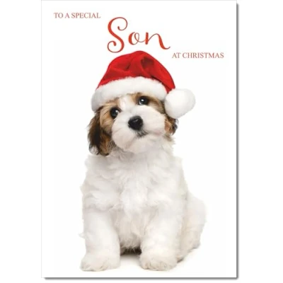 Image of doodlecards Son Christmas Card Dog and Santa Hat Medium Size for with Plain Envelope