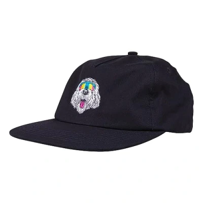 Image of Santa Cruz McCoy Donut Dog Cap Black
