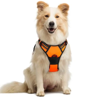 Image of rabbitgoo Dog Harness Medium No Pull Pet with 2 Leash Clips, Adjustable Soft Padded Vest Harness, Reflective Choke Easy Control Handle for Training or Walking, Orange, M
