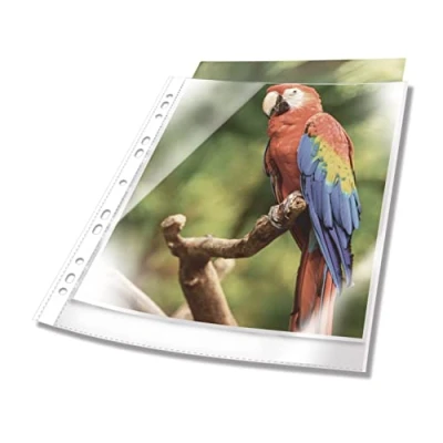Image of Durable Premium A4 Punched Pocket with Coloured Edge White Crystal Clear and Made from PP Pack of 100 Perfect for Protecting Important Documents
