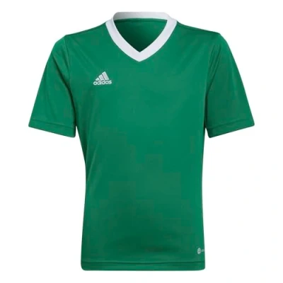 Image of adidas Unisex Kids Entrada 22 Jersey, Team Green / White, 13 14 Years