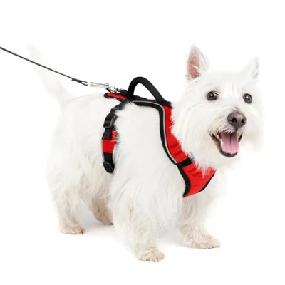Image of PetSafe EasySport Harness, Walking Harness for Dogs, Adjustable, Padded, Small Red