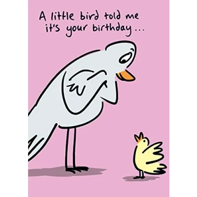 Image of Birdiculous Humorous Blank/Birthday Greeting Card ? A Little Birdie Told me Neon Finish from The Range (LL BBR025)