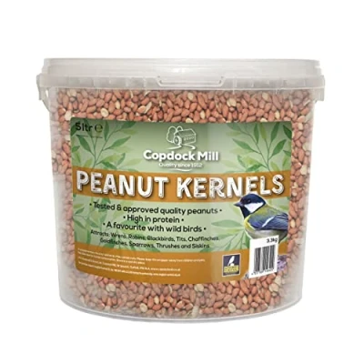 Image of Copdock Mill Peanuts for Wild Birds Peanut Kernels Bird Feed 5L Tub High In Energy, Protein Rich Seeds Small Garden