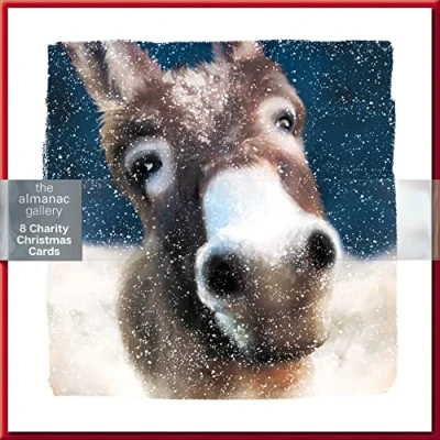 Image of Almanac Pack of 8 A Christmas Donkey Charity Cards Multiple Charities ALCX9977