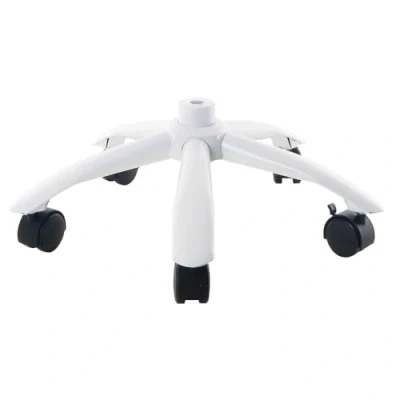 Image of 3B Scientific Metal Base with 5 Casters XA031 Compatible all Skeletons and Muscle Figures, Foot for Skeleton Stand, 3.8 kg