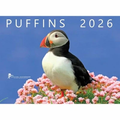 Image of Michael MacGregor, Puffins Calendar 2026