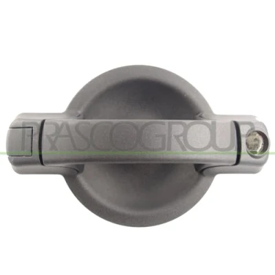 Image of 735296050, 735309961 Door Handle PRASCO FT9088101 outer, Right Rear with key hole black FIAT: Doblo I Cargo, Estate