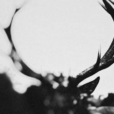 Image of Ihsahn [Orchestral] Clear with Smoke vinyl Sealed 2024 UK 2 LP set CNDL800240P