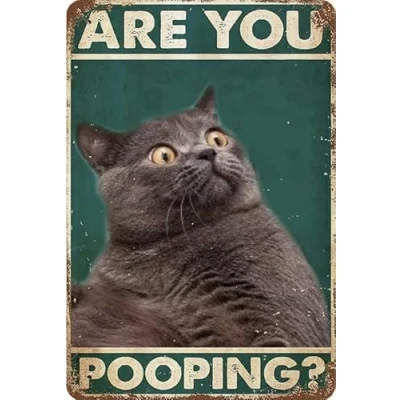 Image of Metal Tin Sign,Are You Pooping Cat Quotes Signs Vintage Bathroom Retro Farmhouse Home Restroom Toilet Bath Wall Decor Aluminium Sign 6x8 Inch
