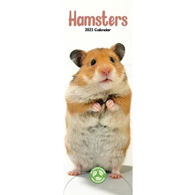 Image of Hamsters Slim Calendar 2023 Cute Slimline 12 Month