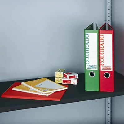Image of DAMS Office Bisley System Steel Shelf for Tambour Cupboard Black Color Storage Furniture