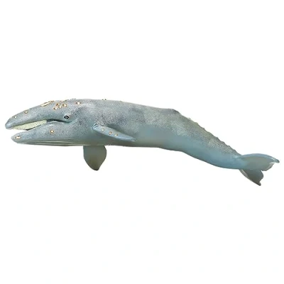 Image of Safari Grey Whale