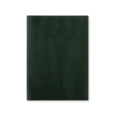 Image of Letts of London Lecassa A5 week to view 2025 diary British Racing Green