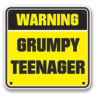 Image of 2 x 10cm Grumpy Teenager Warning Sign Vinyl Sticker Laptop Boys Joke #9744 (10cm Wide High)
