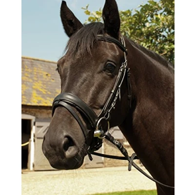 Image of Heritage English Leather ‘Comfort’ Bridle With Flash Noseband inc Rubber Reins (Pony, Havana Brown)